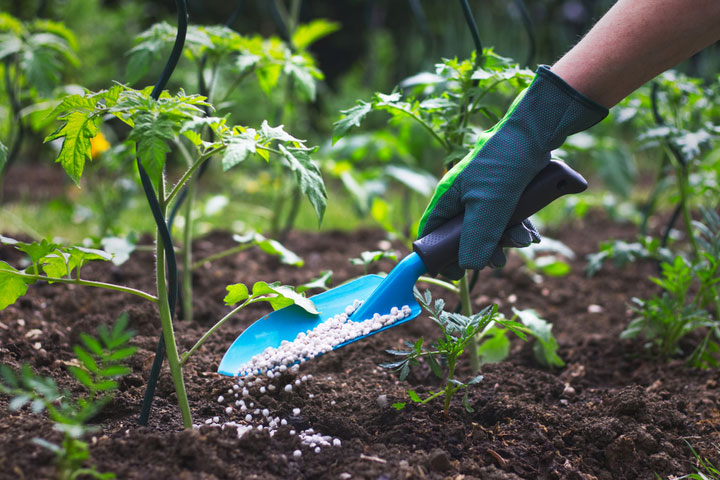 Organic Fertilizers in Action