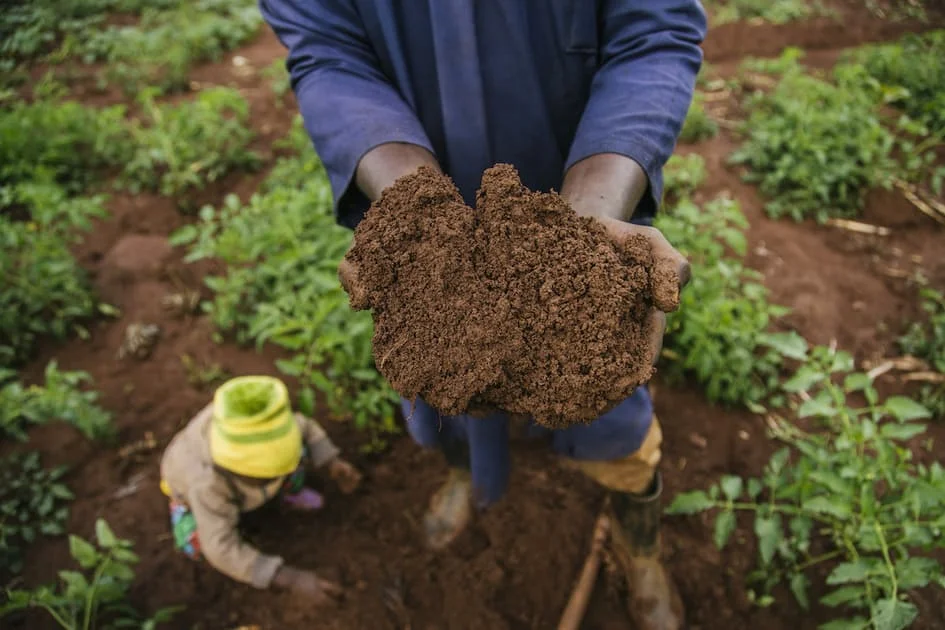 Crop Nutrition Seminar