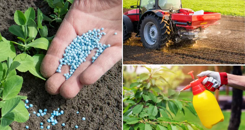 Fertilizer Application Techniques